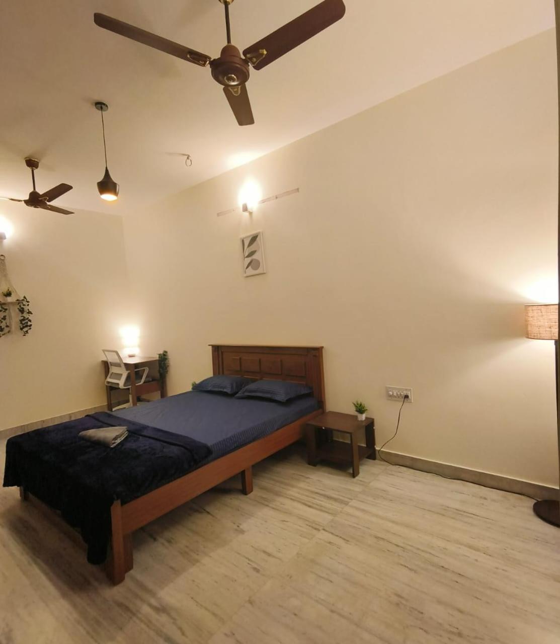 Homestay Homestayz Daffodil